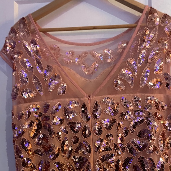 NWT BEAUTIFUL BLUSH GOWN - Picture 4 of 7